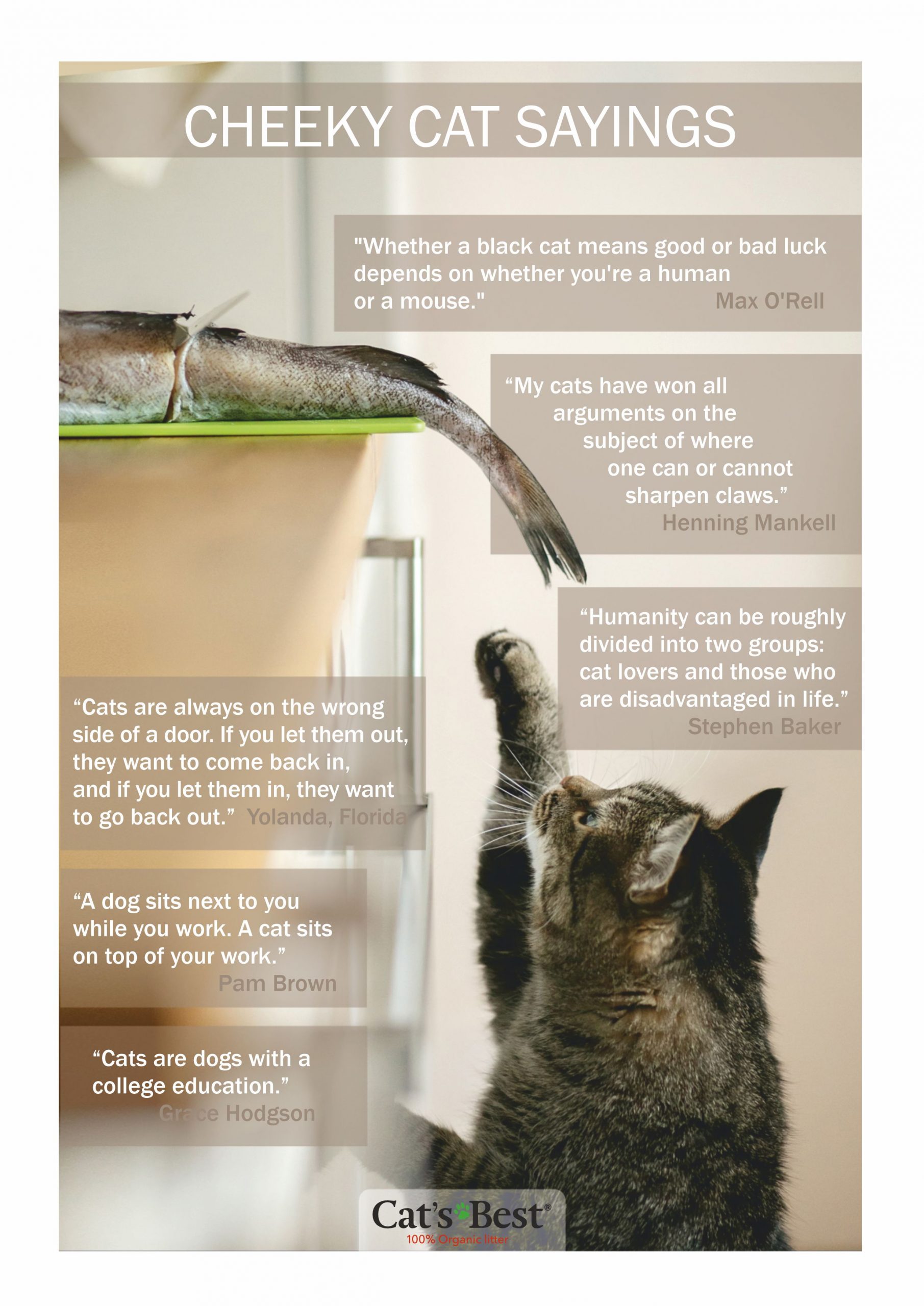 The best cat quotes Cat’s Best