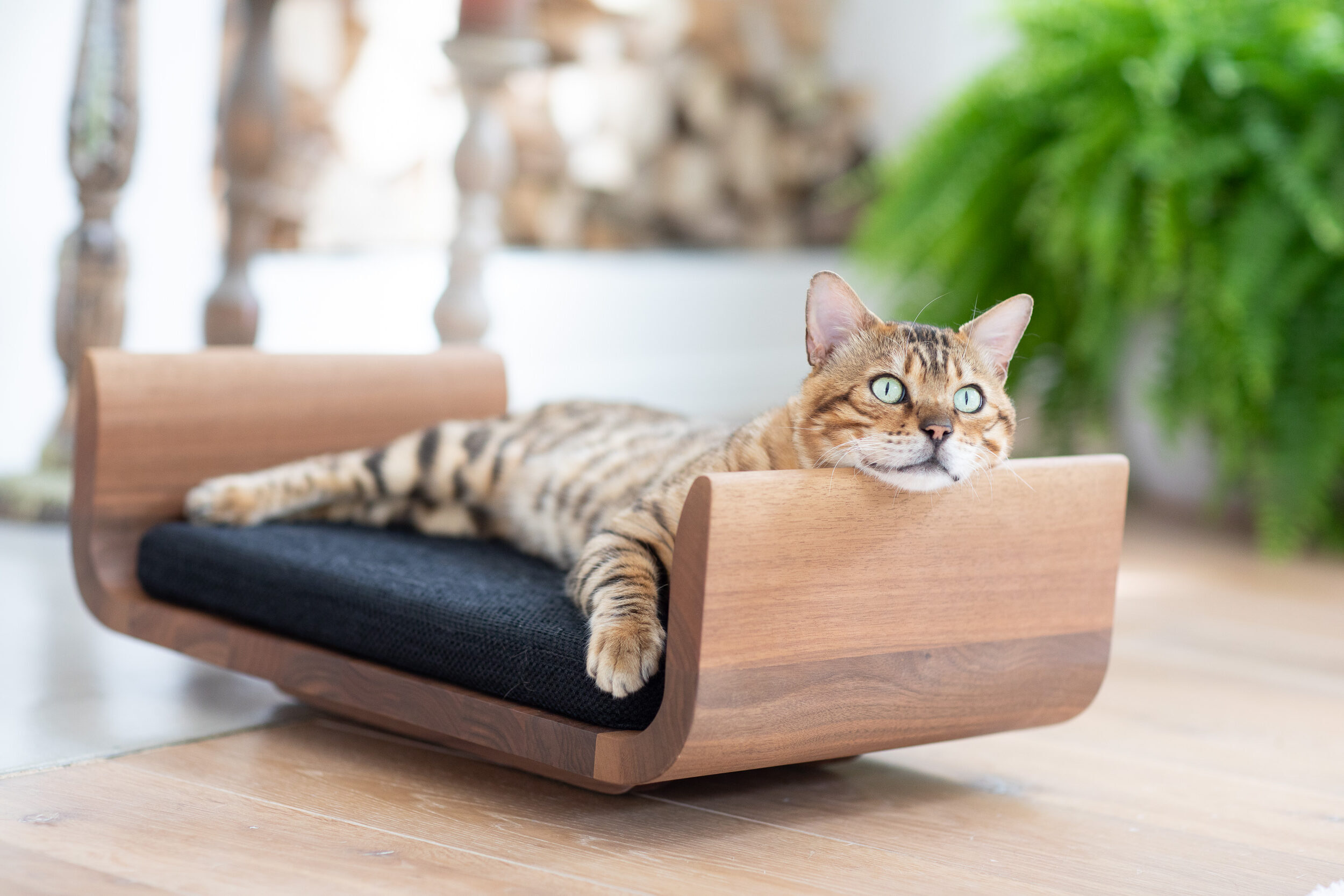 and Dangling Toys Cat Condo with Removable Sisal Scratching Pad BV Cat House Fur Mattress 
