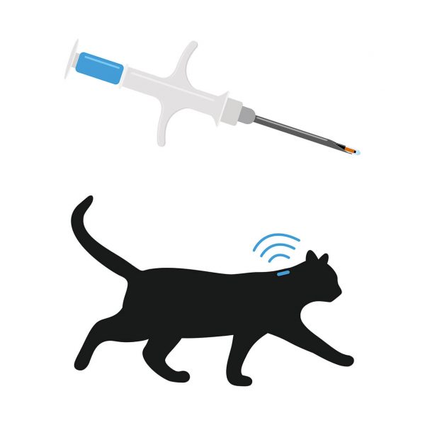 Getting your cat chipped Cat’s Best