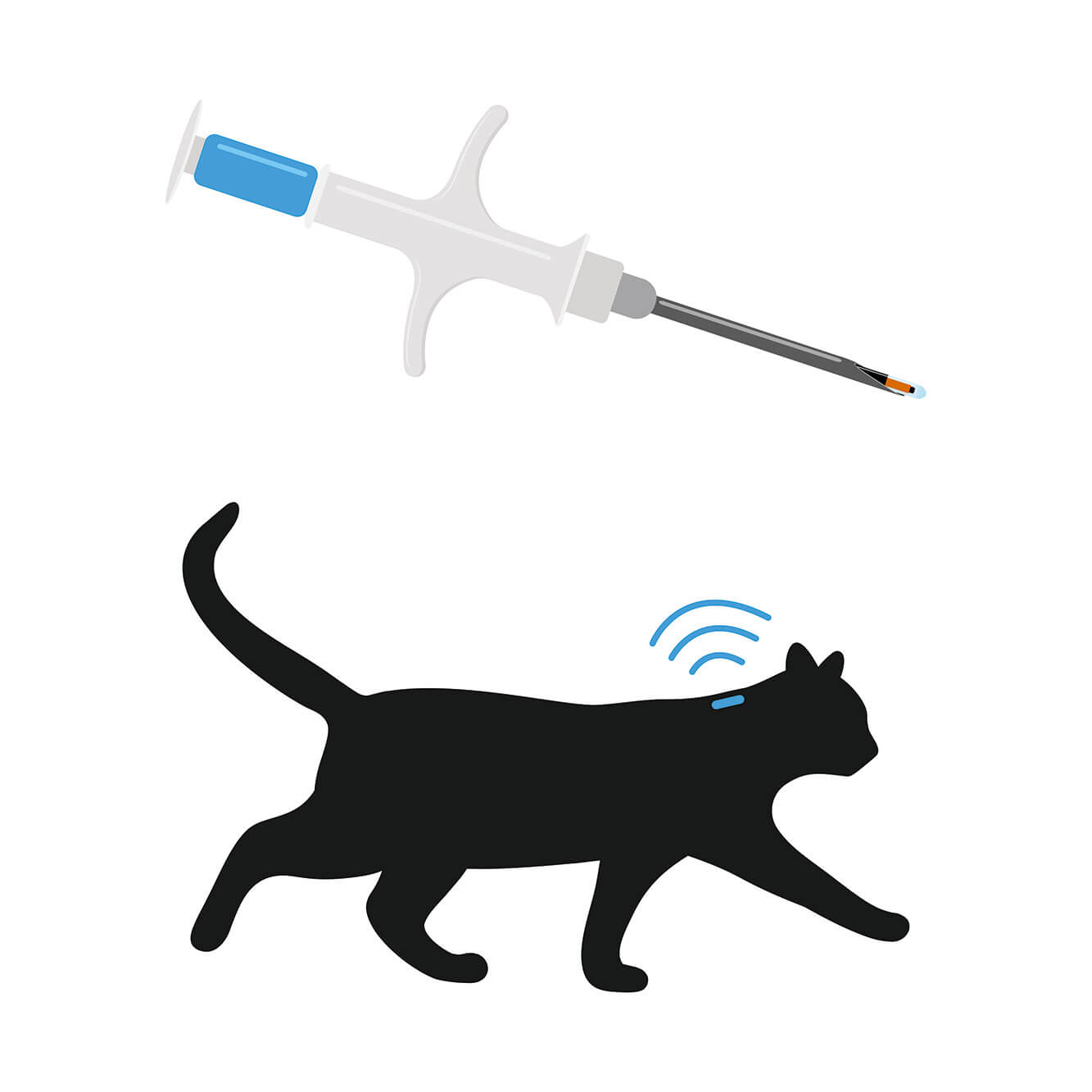 Getting your cat chipped Cat’s Best