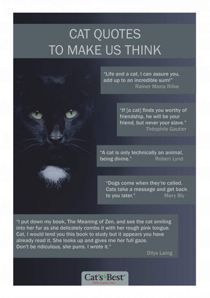 The best cat quotes Cat’s Best