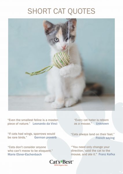 The best cat quotes Cat’s Best