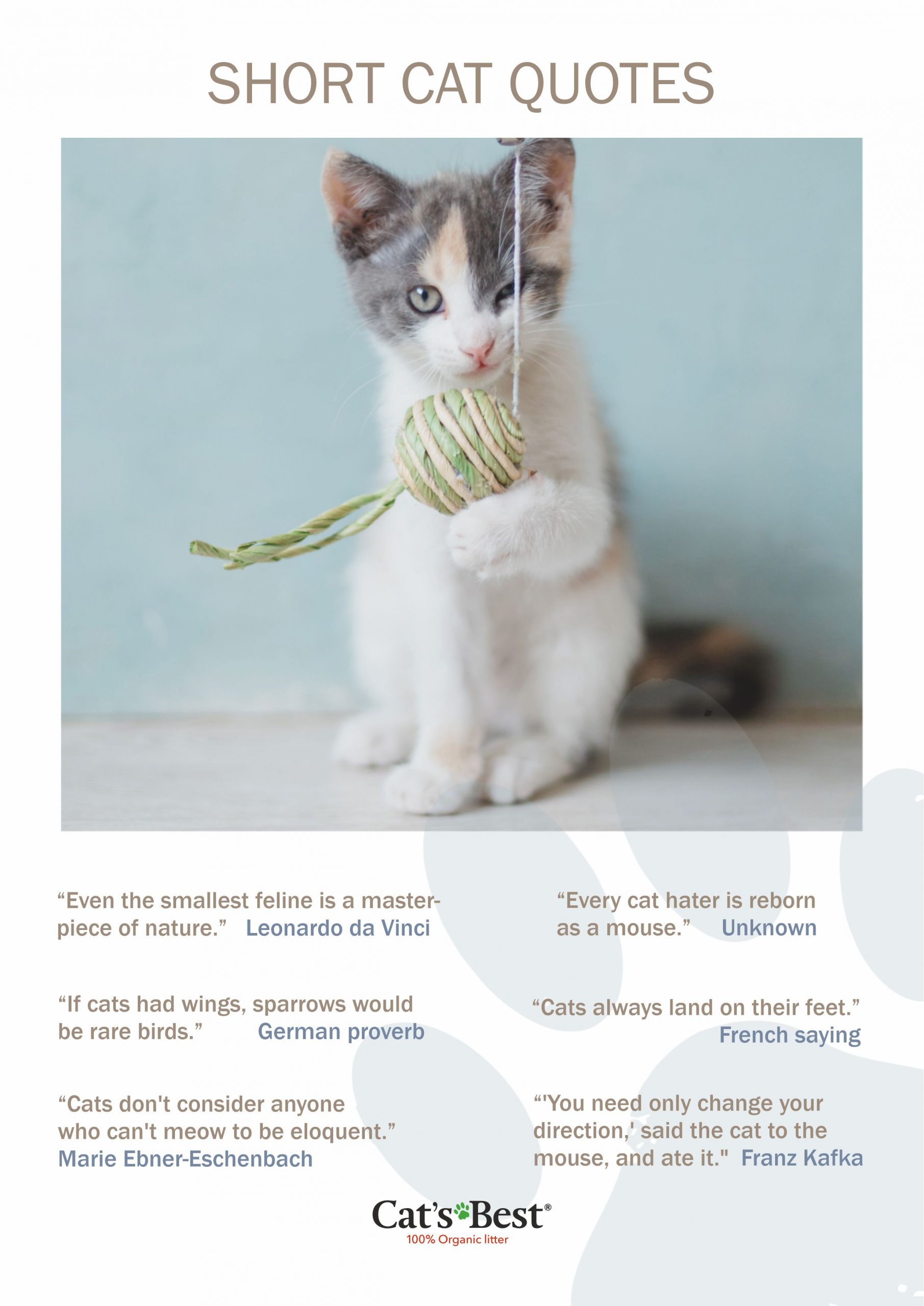 The best cat quotes Cat’s Best