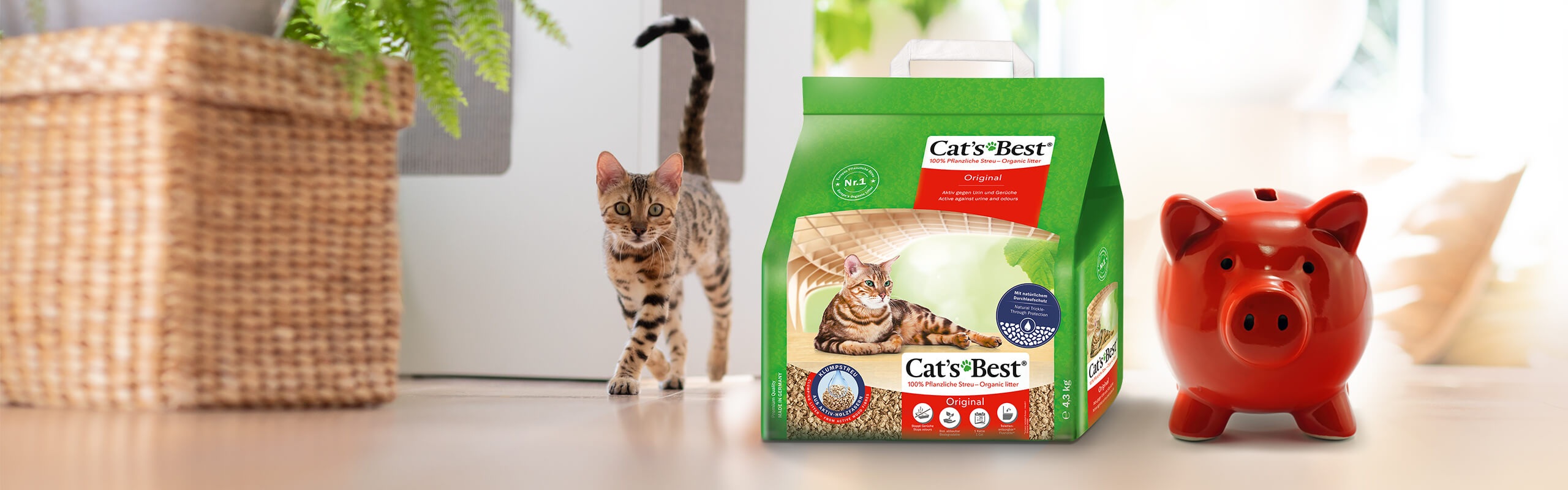 Best organic cat litter cheap