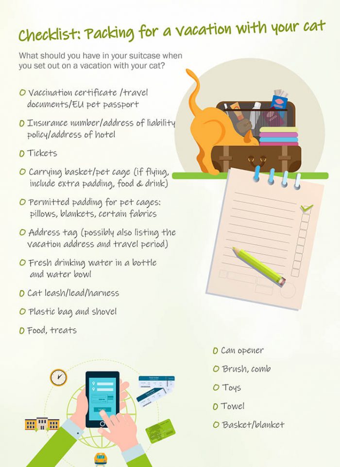 Tips for vacationing with your cat Cat’s Best